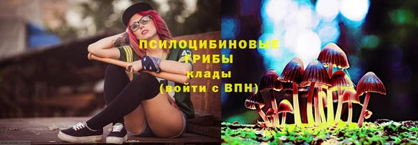 марки lsd Белокуриха