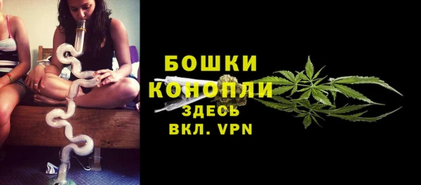 дживик Баксан