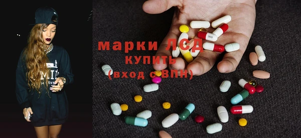 дживик Баксан