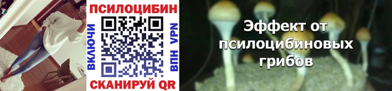 Псилоцибиновые грибы Psilocybe  наркотики  Еманжелинск 