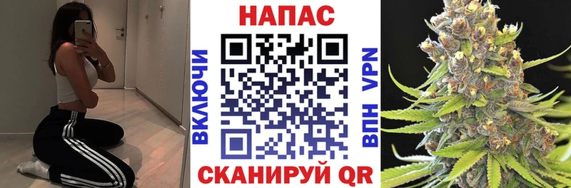 Каннабис гибрид MEGA как войти Еманжелинск закладка